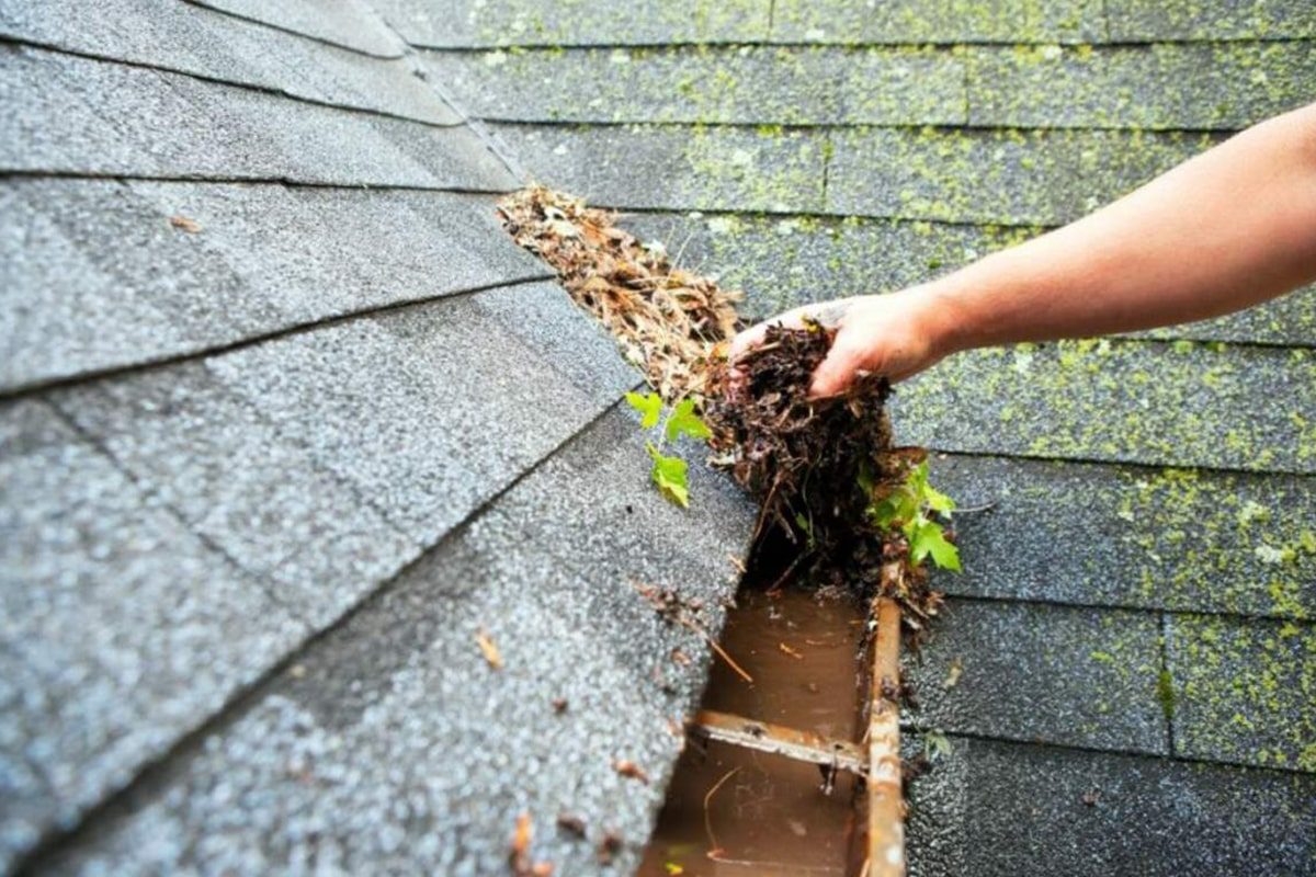 Gutter Cleaning-min